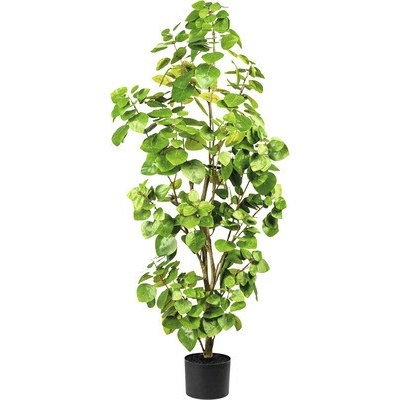 Umelý eukalyptus 120 cm v plastovom kvetináči 15x12 cm