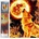 Norimpex - Puzzle Diamant painting: Fiery full moon 30x40cm - 1 - 39 piese