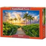 Castorland 3000-piece Colorful Sunrise in Miami, USA puzzle C-300617