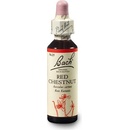 Bachovy originální květové esence Kaštan červený Red Chestnut 20 ml