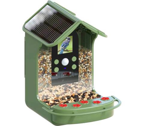 Easypix Bird Cam