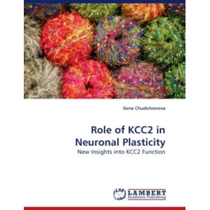 Role of KCC2 in Neuronal Plasticity | Ilona Chudotvorova (2009)