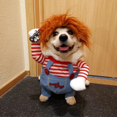 TIAKI strašidelný kostým pro psy a kočky