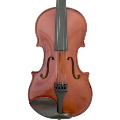 Petz violin G40VNV
