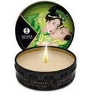 Shunga Massage Candle Green Tea 30ml