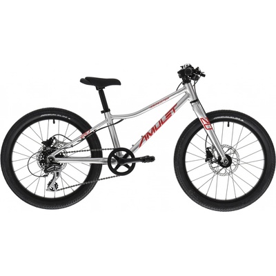 Amulet Youngster SH Alu Brushed 2025