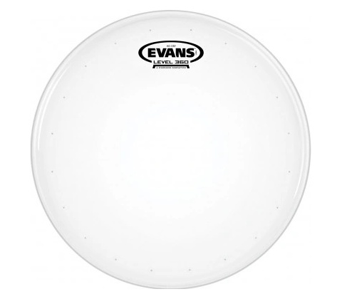 Evans B14HDD