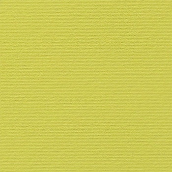 Fabriano Картон Elle Erre, 70 x 100 cm, 220 g/m2, № 125, кед (1535180522)