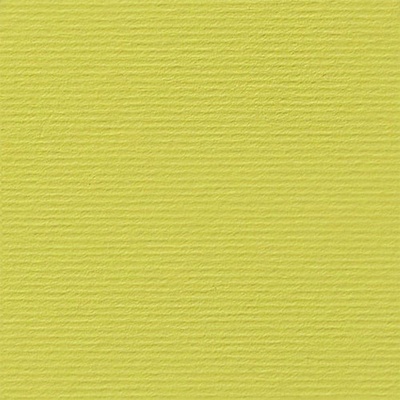 Fabriano Картон Elle Erre, 70 x 100 cm, 220 g/m2, № 125, кед (1535180522)