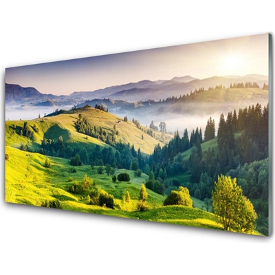 Obraz na skle Hora Pole Mlha Příroda 100x50 cm