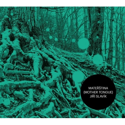 SLAVIK JIRI - MATERSTINA CD