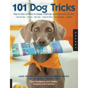 101 Dog Tricks | Kyra Sundance (ISBN: 9781592533251)