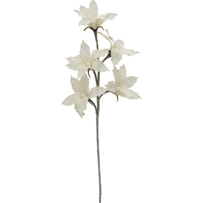 Clemantis (Plamenek), 100 cm