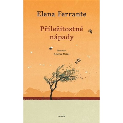 Příležitostné nápady - Elena Ferrante, Andrea Ucini ilustrátor