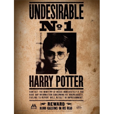 SD TOYS MERCHANDISING Harry Potter: Nežádoucí č. 1 1000 dílků