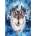 Anatolian - Puzzle Wolf Team - 1 000 piese