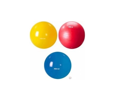 EXERCISE - V3TEC - 65cm
