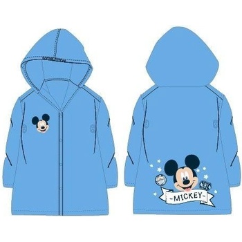 E plus M MICKEY
