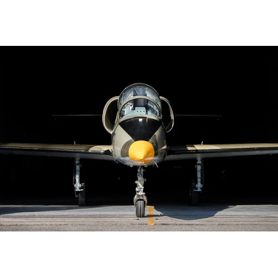 Let stíhačkou L-39 Albatros