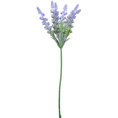 KS LEVANDUĽA 30CM