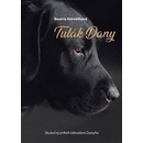Tulák Dany