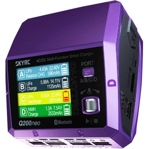SkyRC Зарядно устройство SkyRC Q200neo (SK-100197-01) - ehub