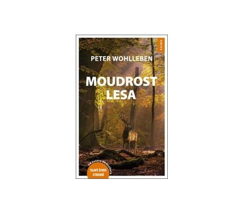 Moudrost lesa