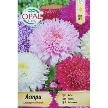 Image 1 of Opal Zi Астри принцеса микс