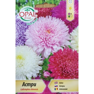 Opal Zi Астри принцеса микс