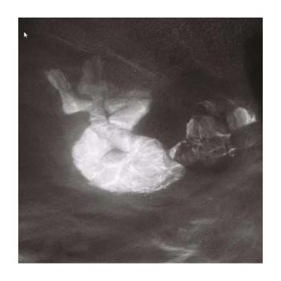 Alice Phoebe Lou - Glow LP