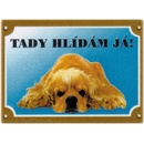 Dafiko Tabulka kokršpaněl americký ležící