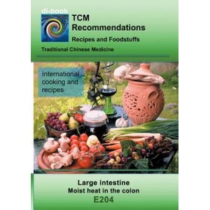TCM - Large intestine - Moist heat in the colon | Josef Miligui (ISBN: 9783752861495)