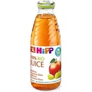 Detské šťavy HiPP BIO jablkovo-hroznová 500 ml