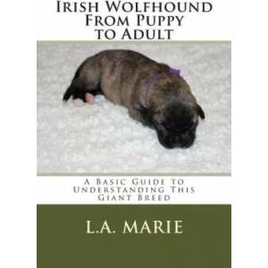 Irish Wolfhound From Puppy to Adult: A Basic Guide to Understanding This Giant Breed | L a Marie (ISBN: 9781512077322)