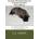 Irish Wolfhound From Puppy to Adult: A Basic Guide to Understanding This Giant Breed | L a Marie
