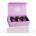 dōTERRA Трио за начинаещи - Introductory Kit (60204800)