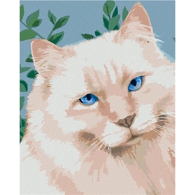 zuty Malování Podle Čísel Bílý Kocour Myroslava Voloschuk 80 x 100 Cm Plátno Rám