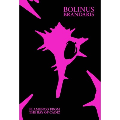 V/A - BOLINUS BRANDARIS - FLAMENCO FROM THE BAY OF CADIZ CD