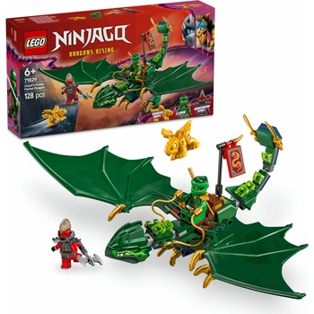 LEGO® NINJAGO® - Lloyd's Green Forest Dragon (71829)