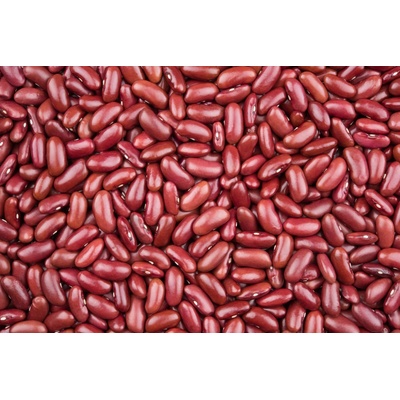 Les fruits du paradis Fazole červená Kidney Bio 25 kg