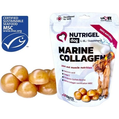 Kĺbová Výživa LK Baits Pet Nutrigel Dog Marine Collagen S-M 100 g