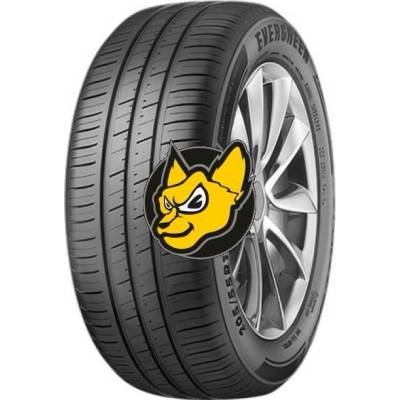 Evergreen EH228 195/65 R15 91V