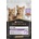 Pro Plan Kitten morka 85 g