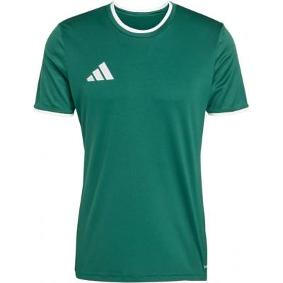 adidas Teamsport Entrada 26 zelená