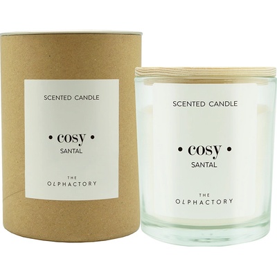 Ambientair The Olphactory Santal (Cosy) 200 g