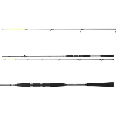 Daiwa SEAHUNTER X PILK HERRING 2,7 m 30-60 g 2 díly