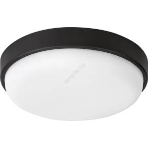 Rábalux 77223 - LED Външно таванно осветително тяло HORT2 LED/14W/230V IP54 черно (RL77223)