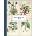 Vintage Botany Prints: Vol. 14
