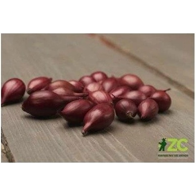 Ozimá cibule sazečka Akado 1 kg