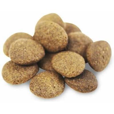 Fish4Dogs Finest Salmon Adult 12 kg